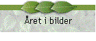 ret i bilder