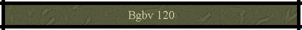 Bgbv 120