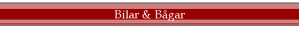 Bilar & Bgar