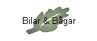 Bilar & Bgar