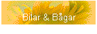 Bilar & Bgar