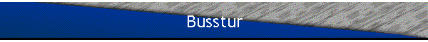 Busstur