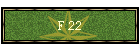 F 22