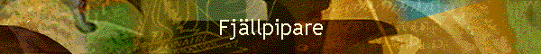 Fjllpipare