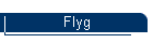 Flyg