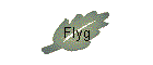 Flyg