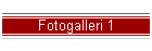 Fotogalleri 1