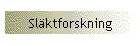 Slktforskning