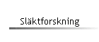 Slktforskning