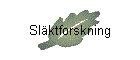 Slktforskning