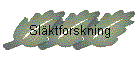 Slktforskning