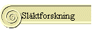 Slktforskning