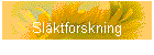 Slktforskning