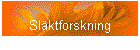 Slktforskning