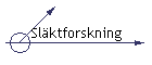 Slktforskning