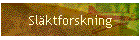 Slktforskning