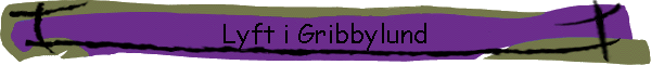 Lyft i Gribbylund
