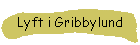 Lyft i Gribbylund