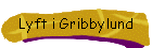 Lyft i Gribbylund