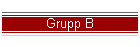 Grupp B