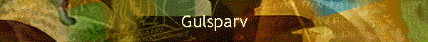 Gulsparv