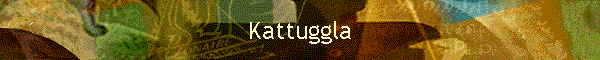 Kattuggla