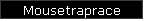 Mousetraprace