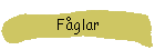 Fglar