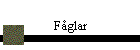 Fglar