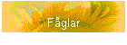 Fglar