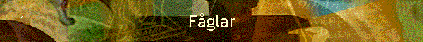 Fglar