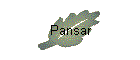 Pansar