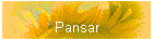 Pansar