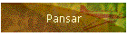 Pansar