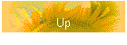 Up