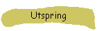 Utspring