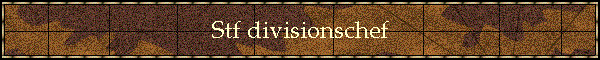 Stf divisionschef