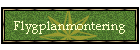 Flygplanmontering