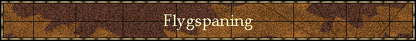 Flygspaning