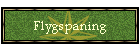 Flygspaning