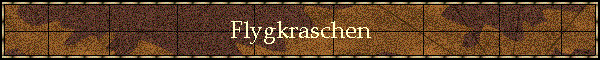Flygkraschen
