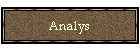 Analys