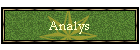 Analys