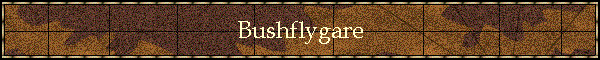 Bushflygare