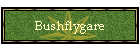 Bushflygare