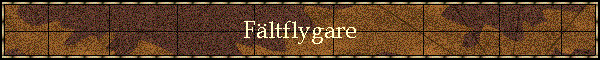 Fltflygare